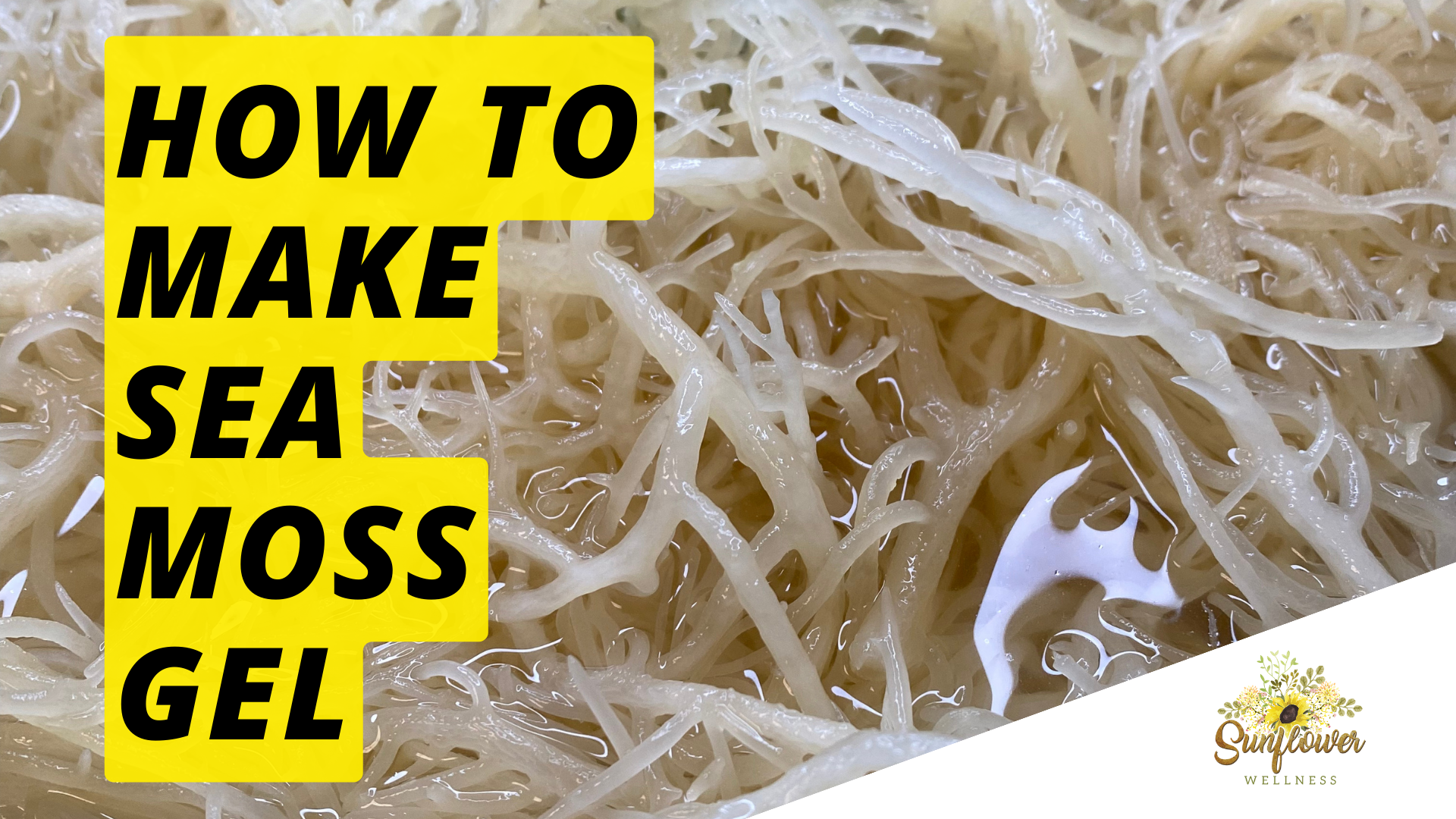 Benefits of Sea Moss and Learn How to Make Sea Moss Gel – Sunflower Wellness