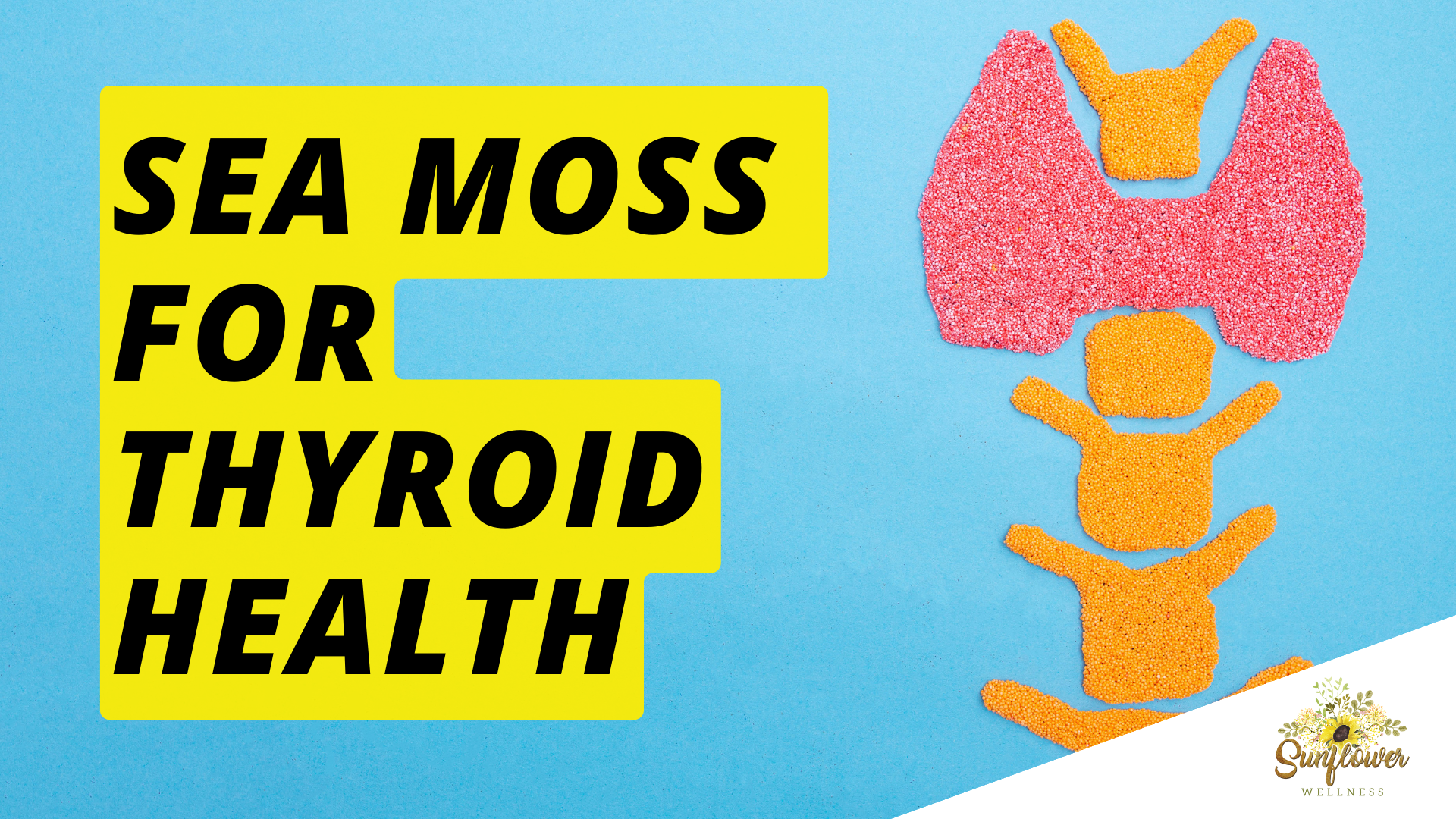 sea moss gel benefits thyroid health shark tank