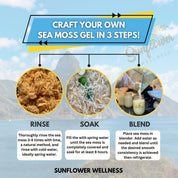 Sea Moss Bundle - Gold & Purple Raw St. Lucia Sea Moss