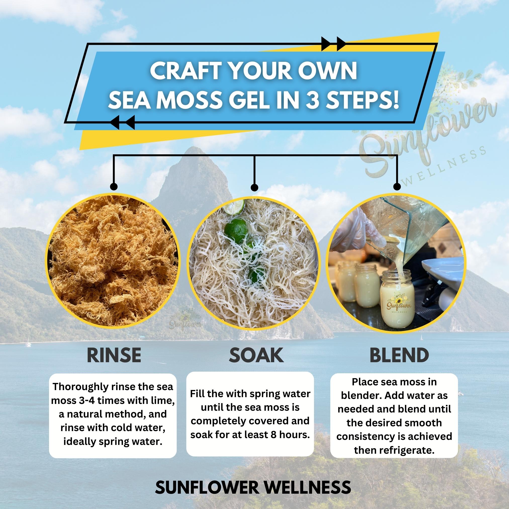 Sea Moss Bundle - Gold & Purple Raw St. Lucia Sea Moss