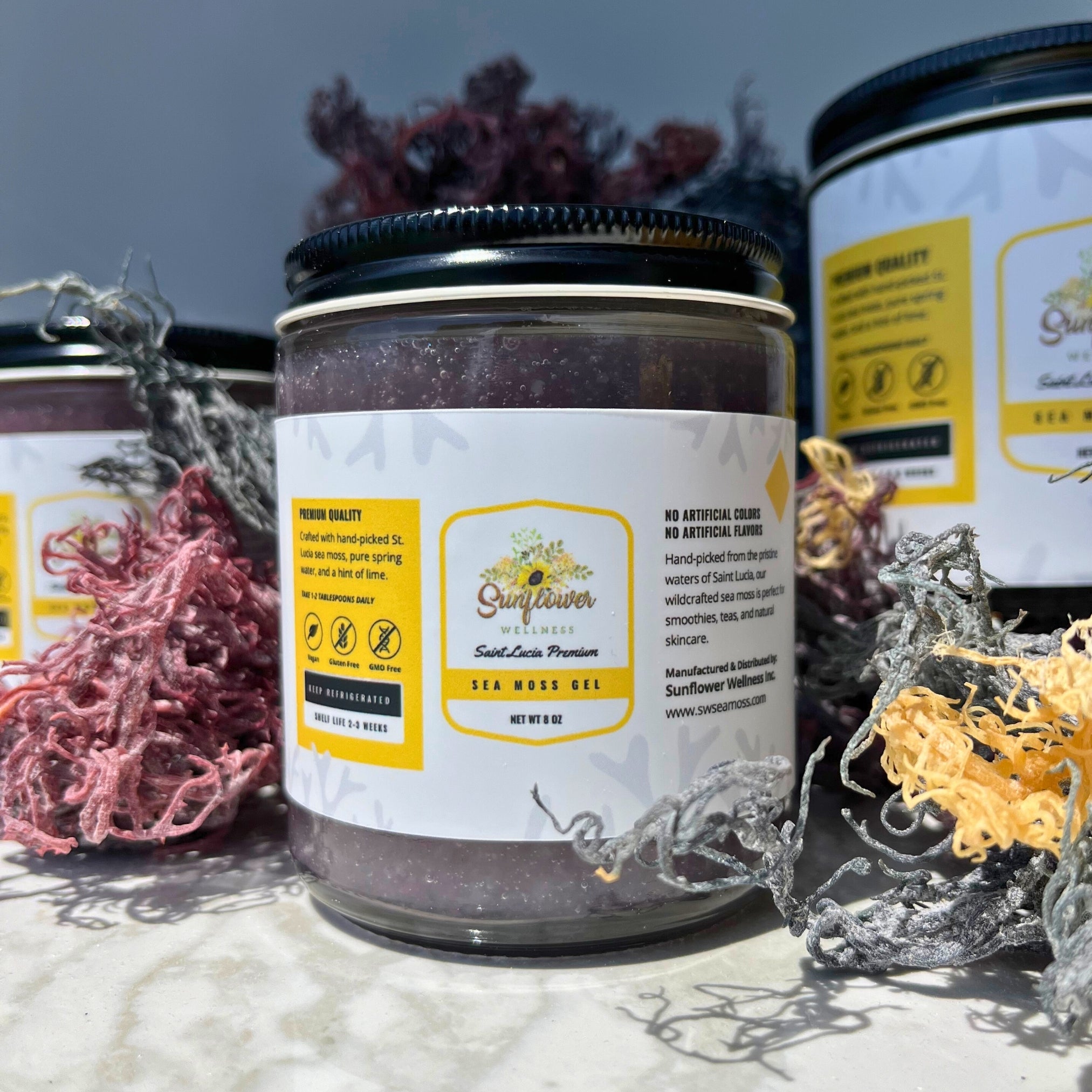 Full Spectrum Sea Moss Gel in glass jar on marble background, surrounded by wildcrafted gold, purple, and green sea moss from St. Lucia.