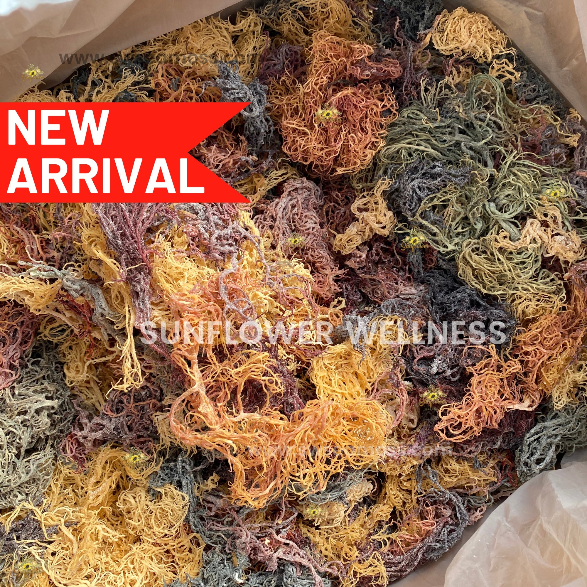 Bulk Full Spectrum Sea Moss in vibrant gold, purple, and green shades from St. Lucia.