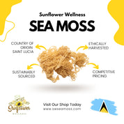 Close-up of raw gold sea moss, ideal for making sea moss gel.