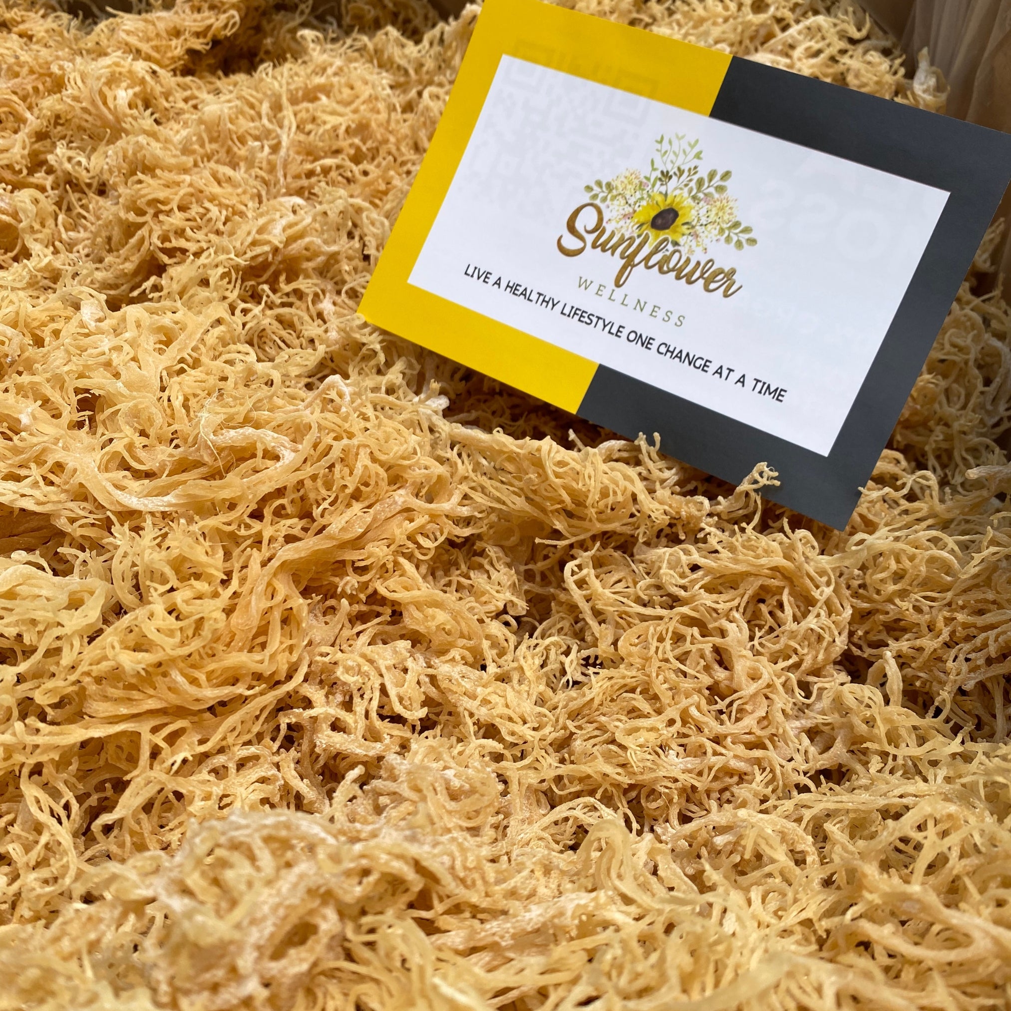Wildcrafted St. Lucia gold sea moss, perfect for smoothies, recipes, and DIY products