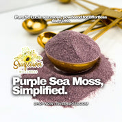 Purple sea moss powder wildcrafted from saint lucia and produced by sunflower wellness.