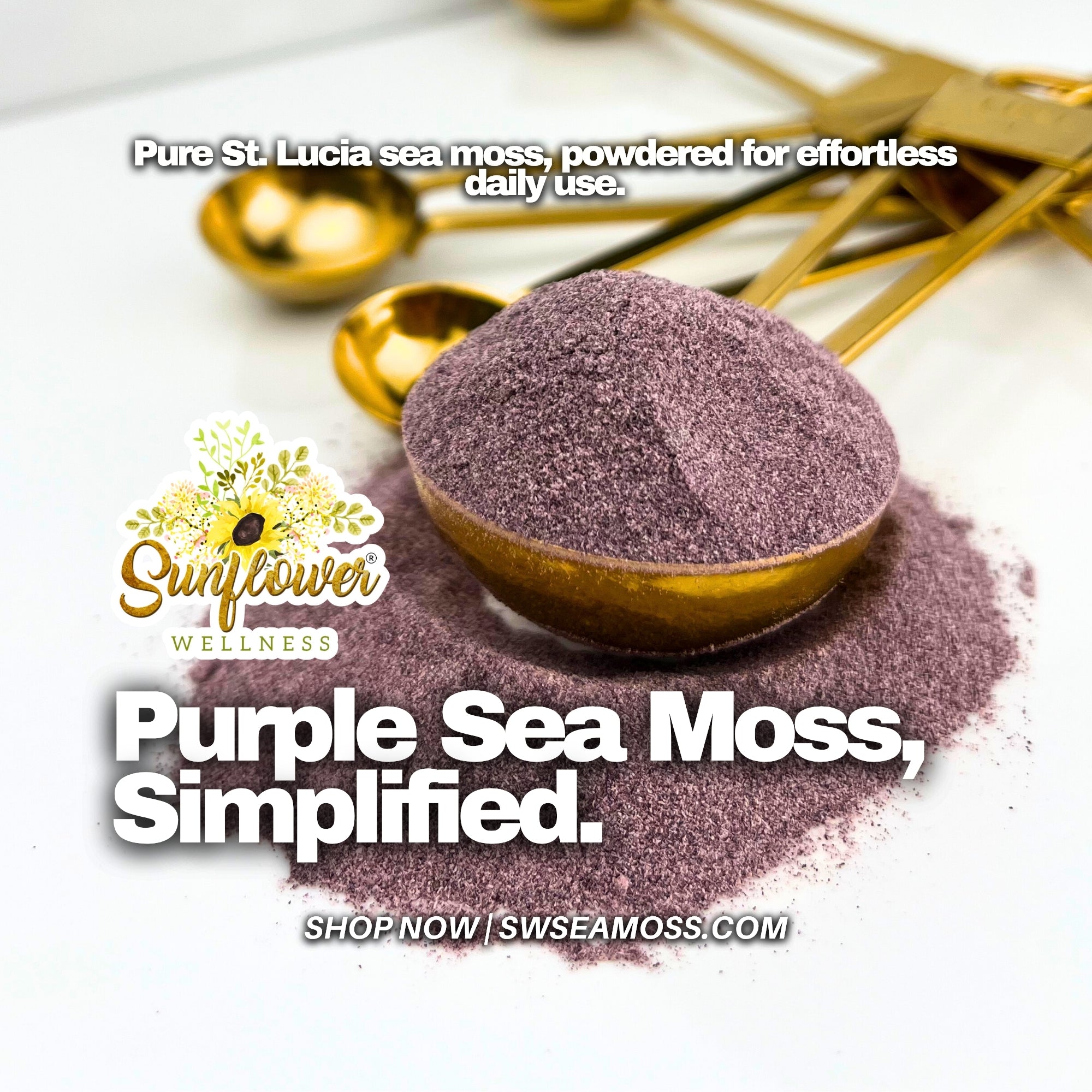 Purple sea moss powder wildcrafted from saint lucia and produced by sunflower wellness.