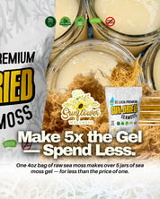 Sunflower wellness St. Lucia Sun-Dried Sea Moss with information about making your own sea moss gel at home for less.