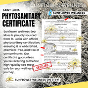 Sea moss phytosanitary certification from st lucia