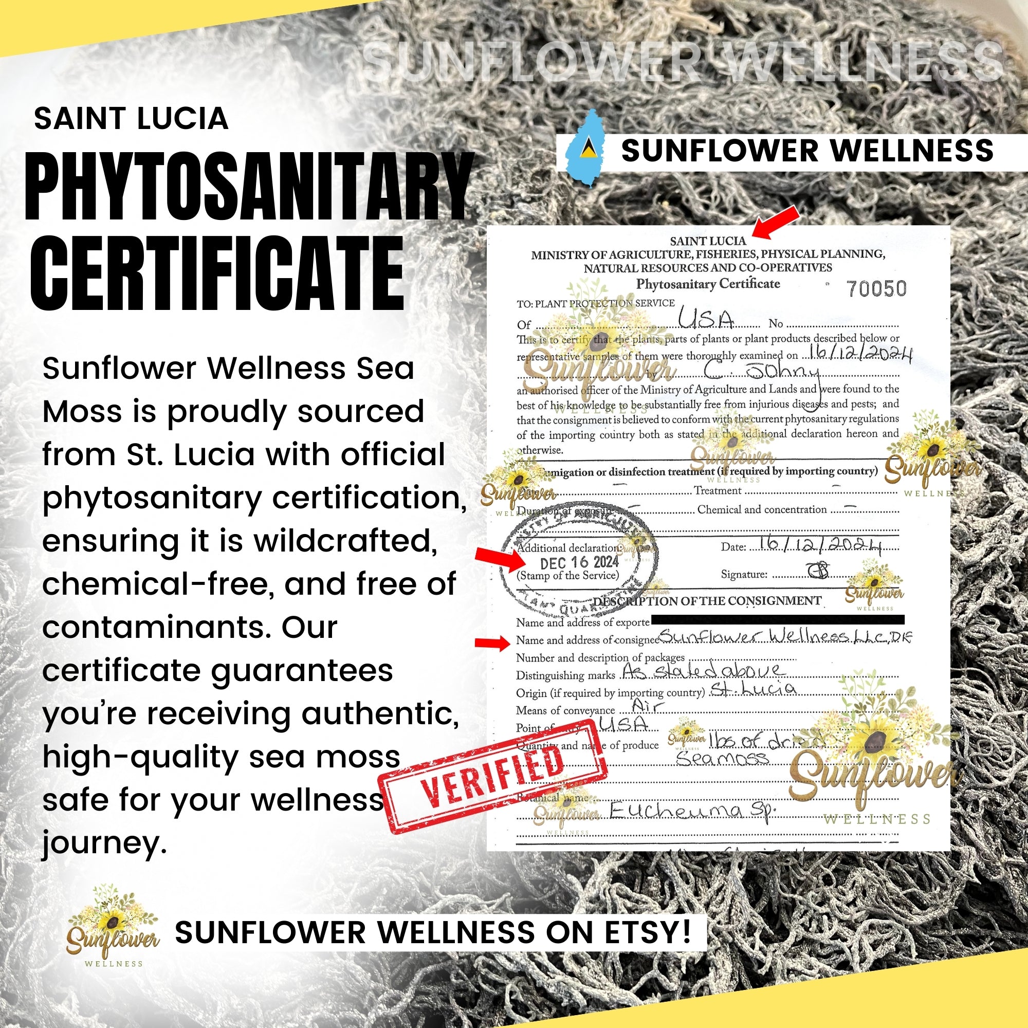 Sea moss phytosanitary certification from st lucia