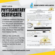 Sea moss phytosanitary certificate for Saint Lucia raw sea moss authenticty