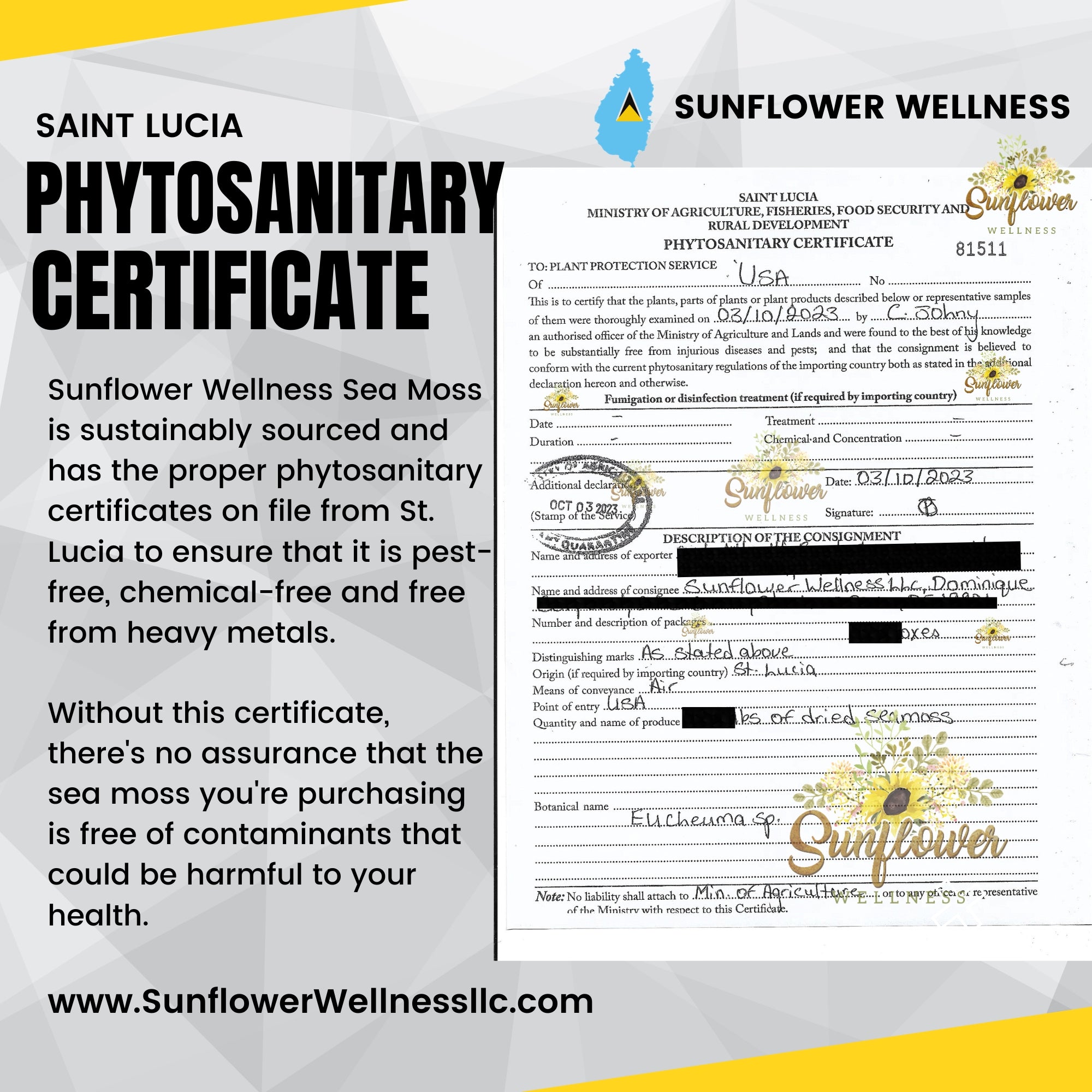 Sea moss phytosanitary certificate for Saint Lucia raw sea moss authenticty