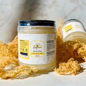 Premium St. Lucia Sea Moss Gel in a Glass Jar, Surrounded by Wildcrafted Raw Sea Moss – Organic, Fresh, and Nutrient-Rich
