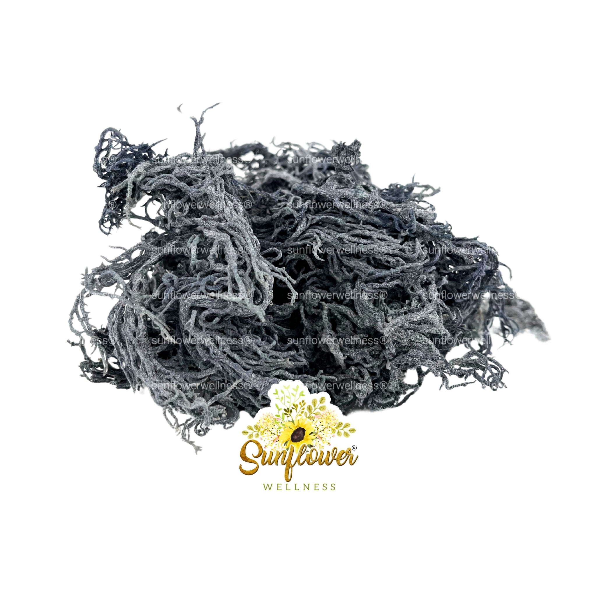 Green sea moss from St. Lucia in its raw wildcrafted form.