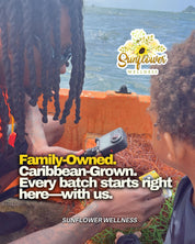 Father and son at sea in St. Lucia harvesting live sea moss for Sunflower Wellness.