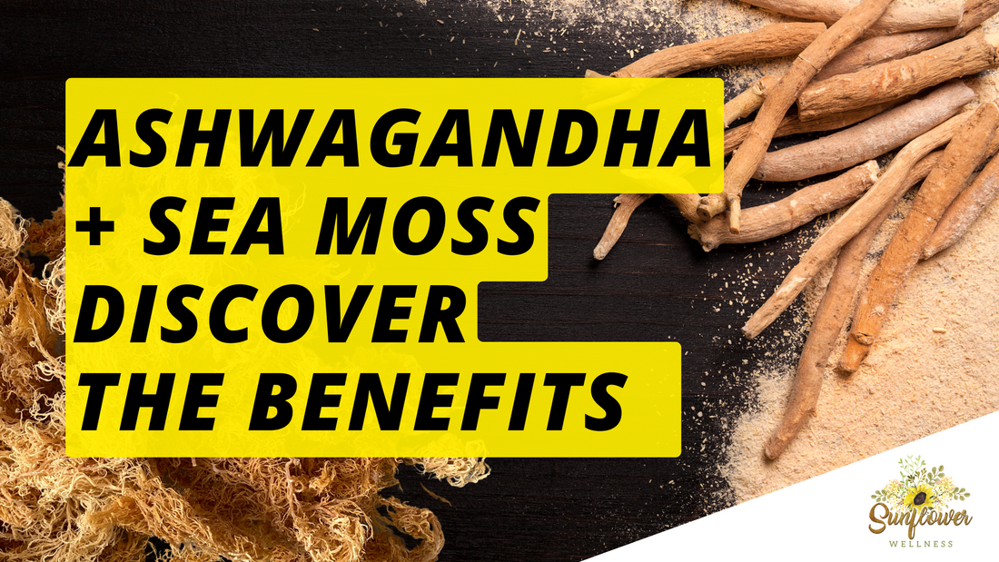 Ashwagandha Root Sea Moss Benefits dr sebi seamoss