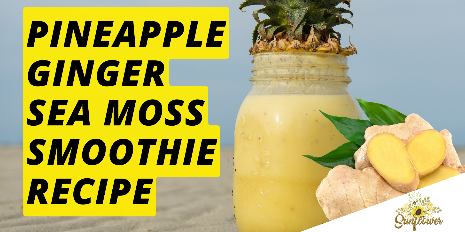 Pineapple sea moss smoothie recipe diy shark tank