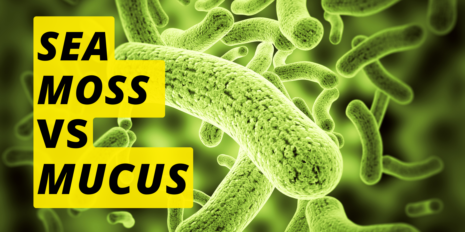 HOW SEA MOSS CAN FIGHT MUCUS SHARK TANK