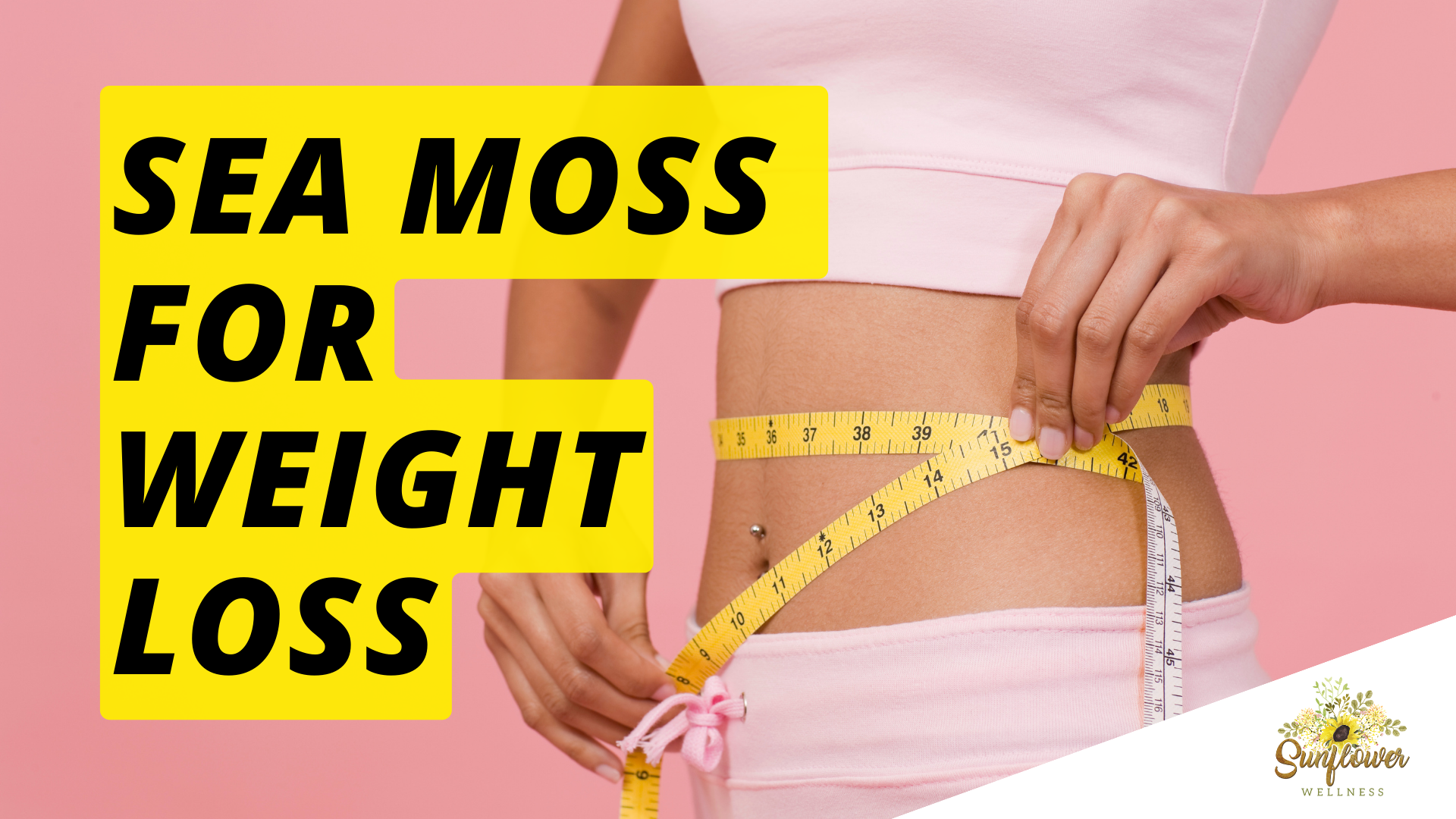 How sea moss can help weight loss shark tank