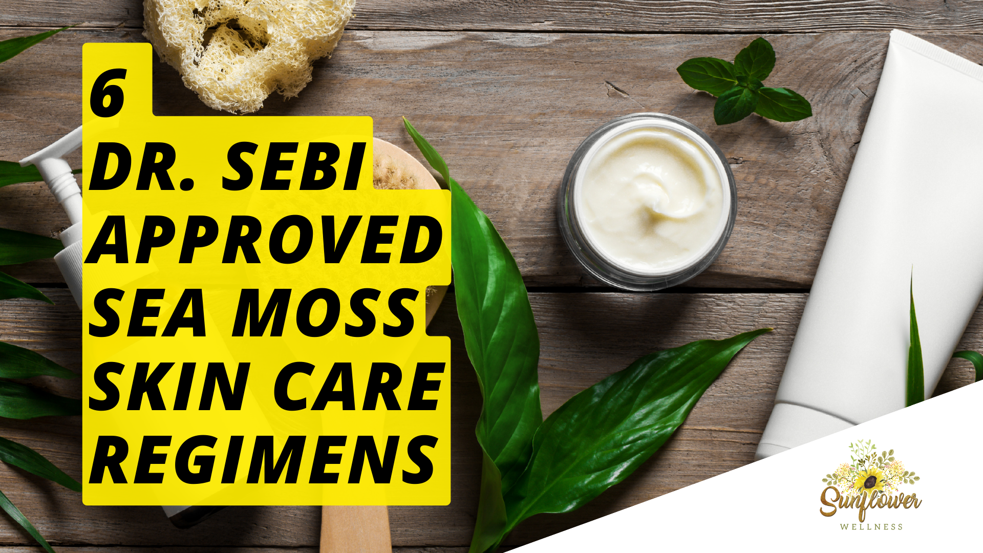 dr sebi sea moss irish sea moss benefits