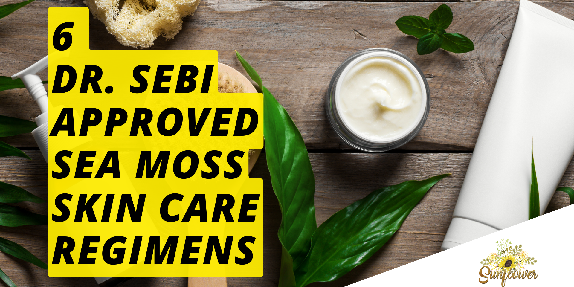 dr sebi sea moss irish sea moss benefits