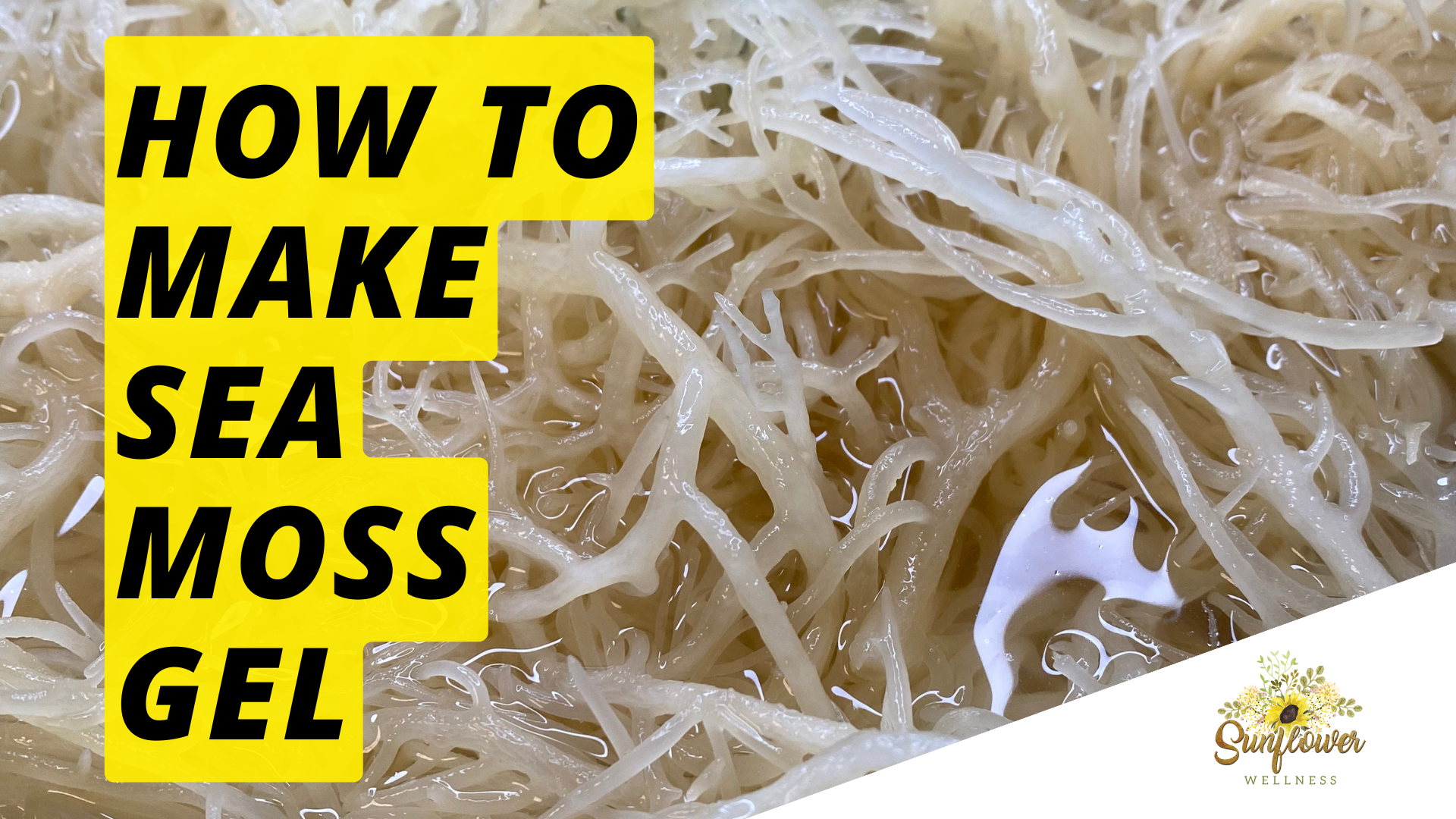 How to make sea moss gel + Sea Moss benefits