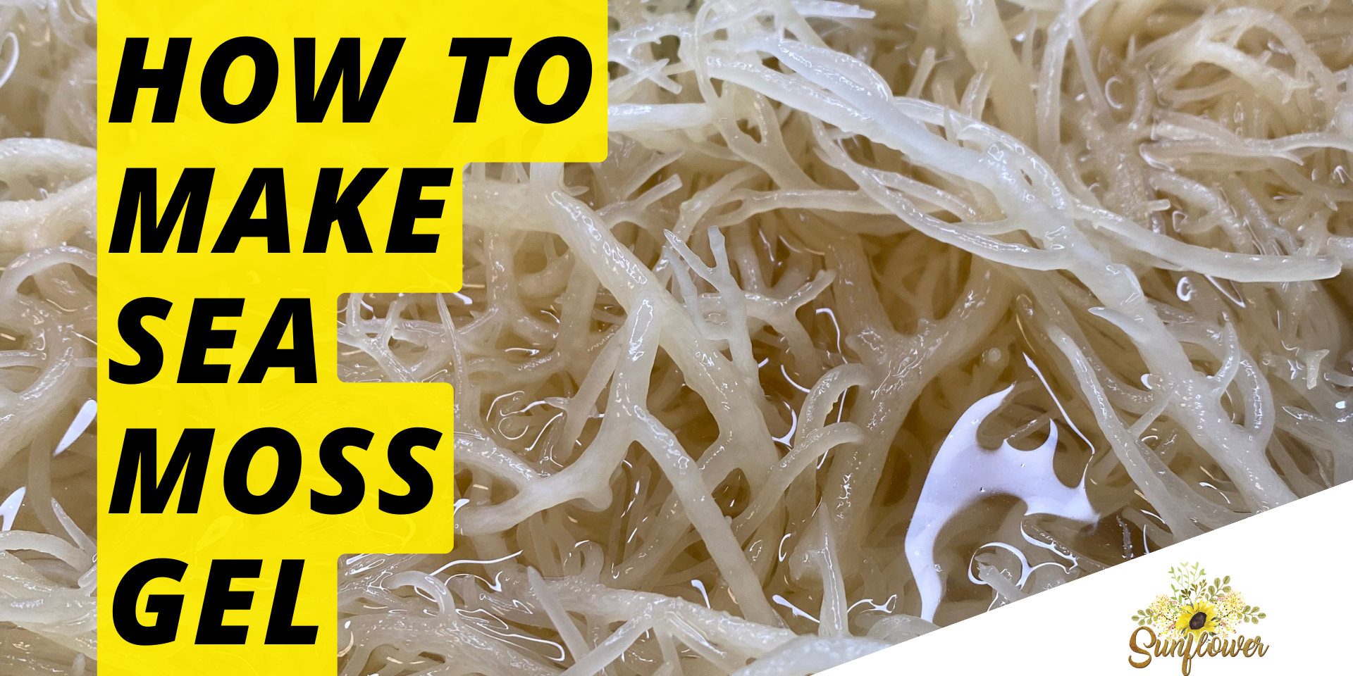 How to make sea moss gel + Sea Moss benefits