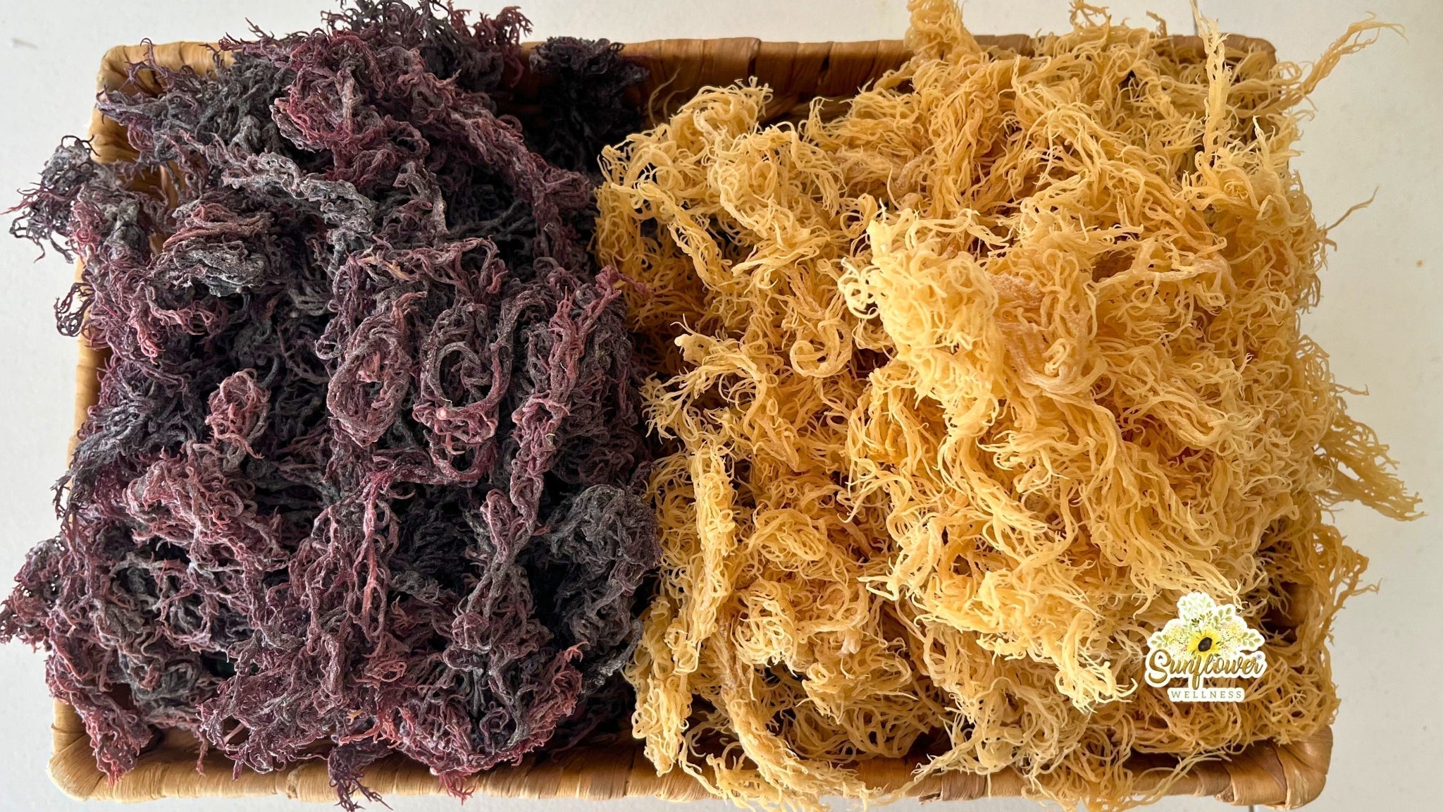 purple sea moss vs gold sea moss comparison