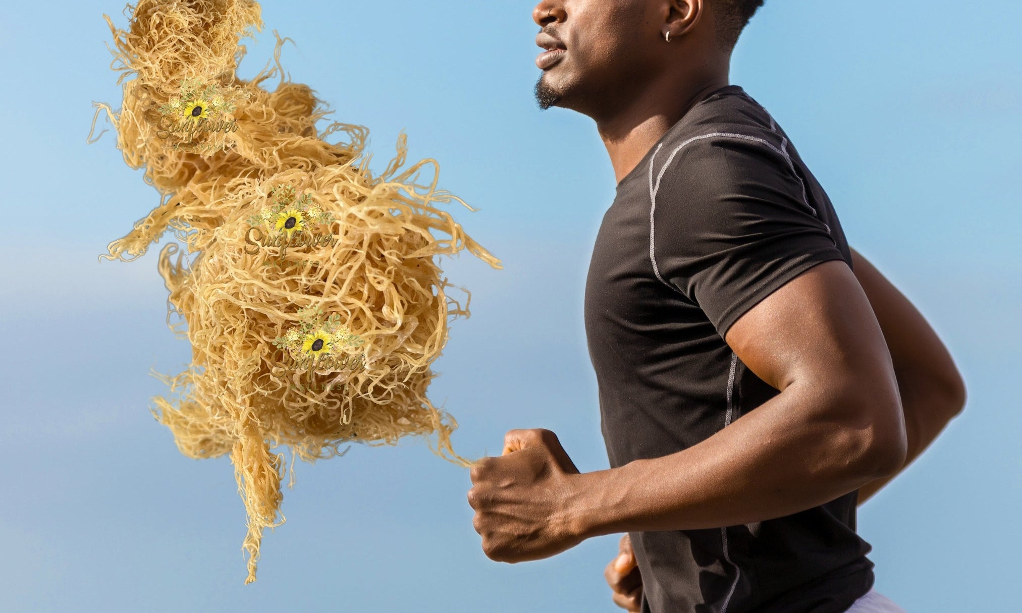 sea moss benefits for men