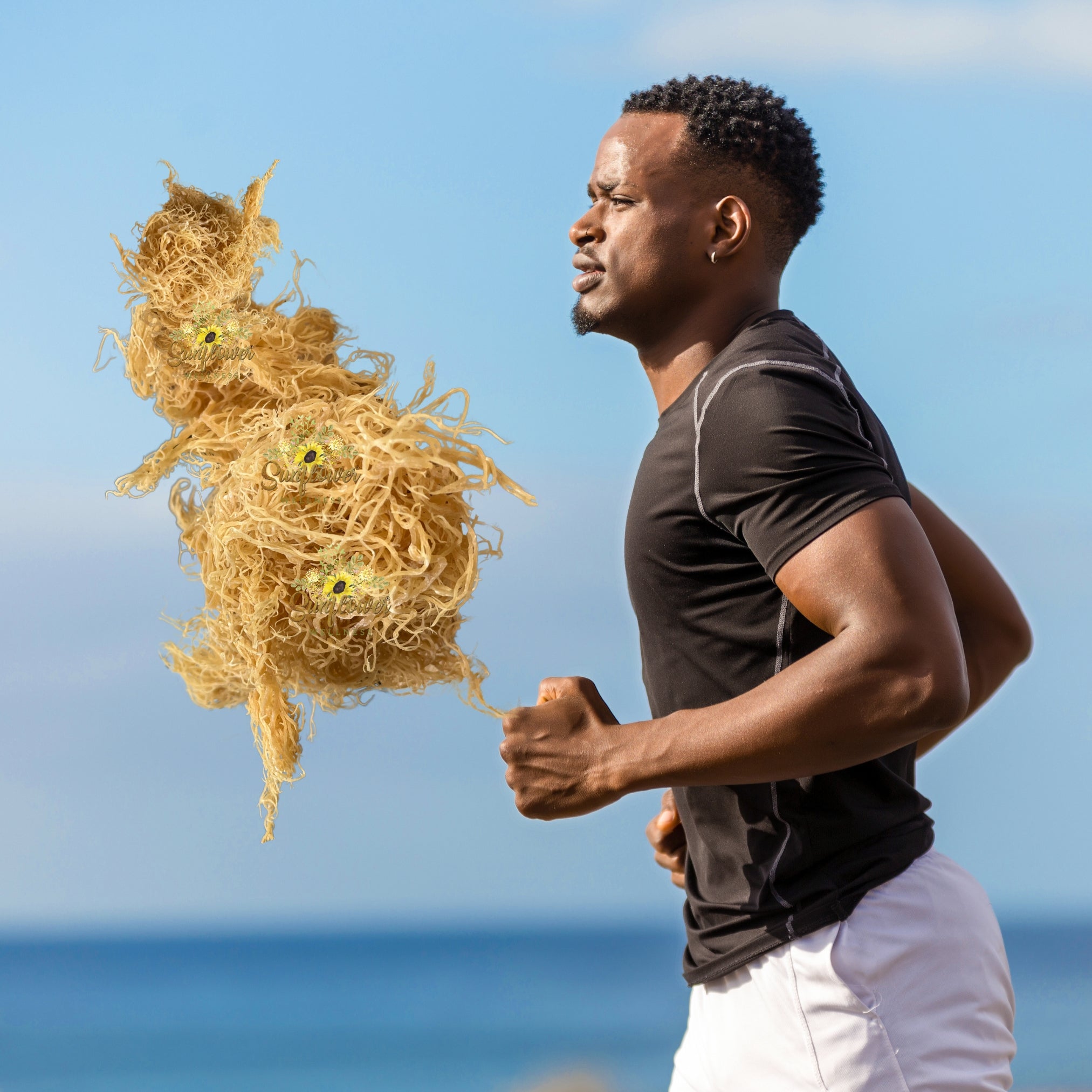 sea moss benefits for men