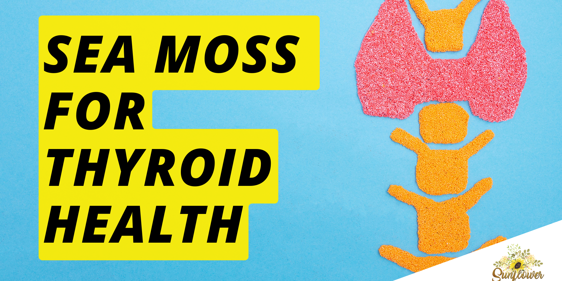 sea moss gel benefits thyroid health shark tank