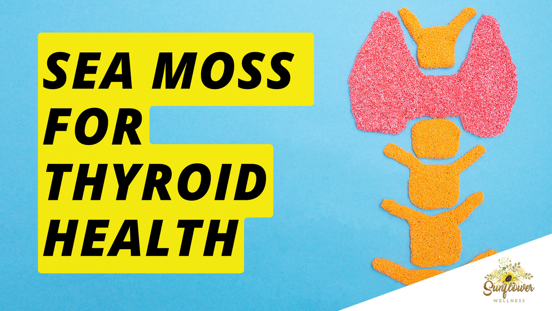 The Surprising Benefits of Sea Moss for Thyroid Health Sunflower