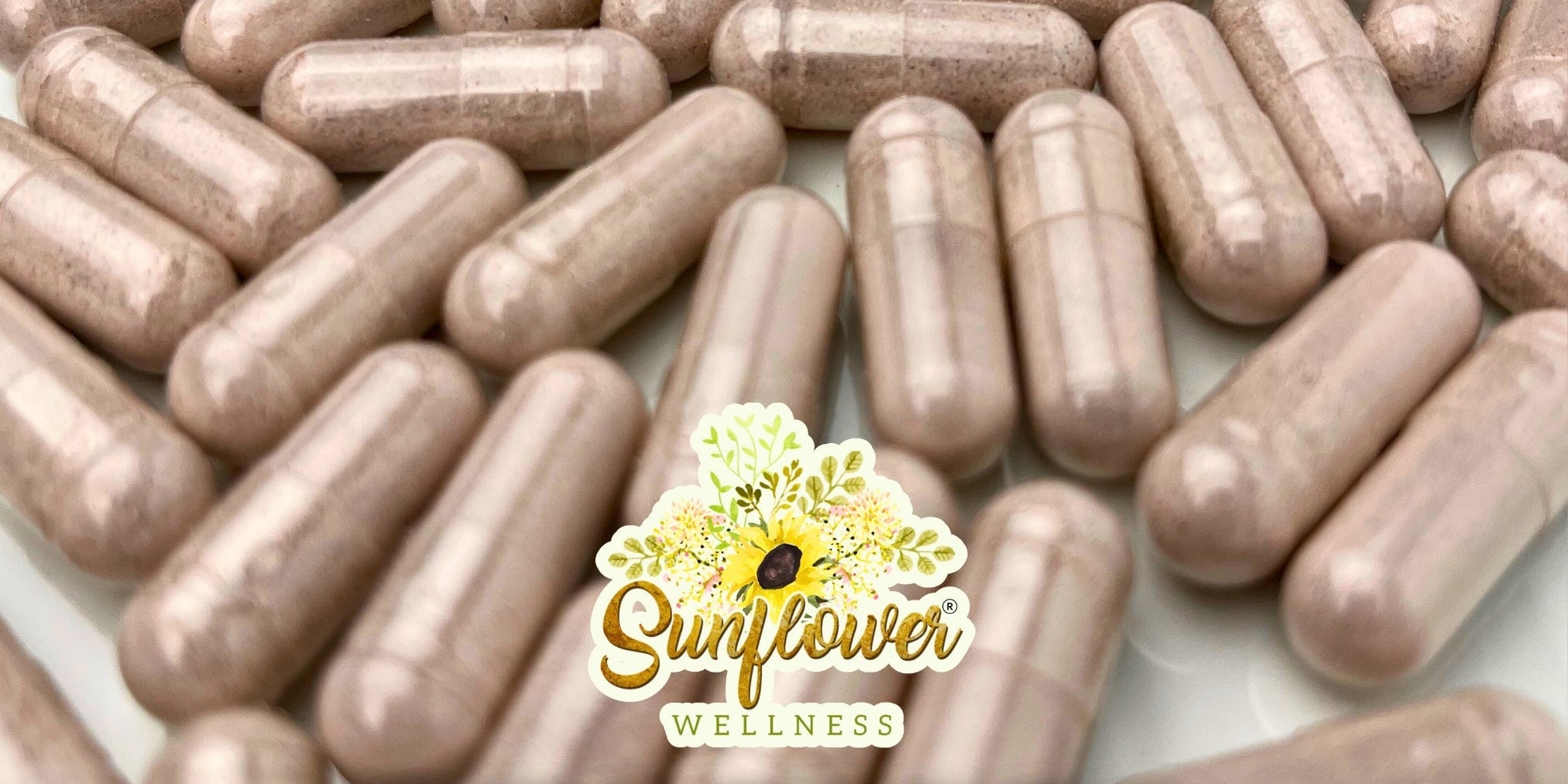 How to Make Sea Moss Capsules at Home Using Sea Moss Powder