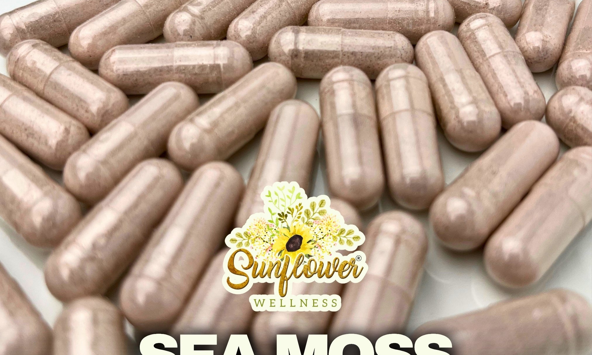 How to Make Sea Moss Capsules at Home Using Sea Moss Powder