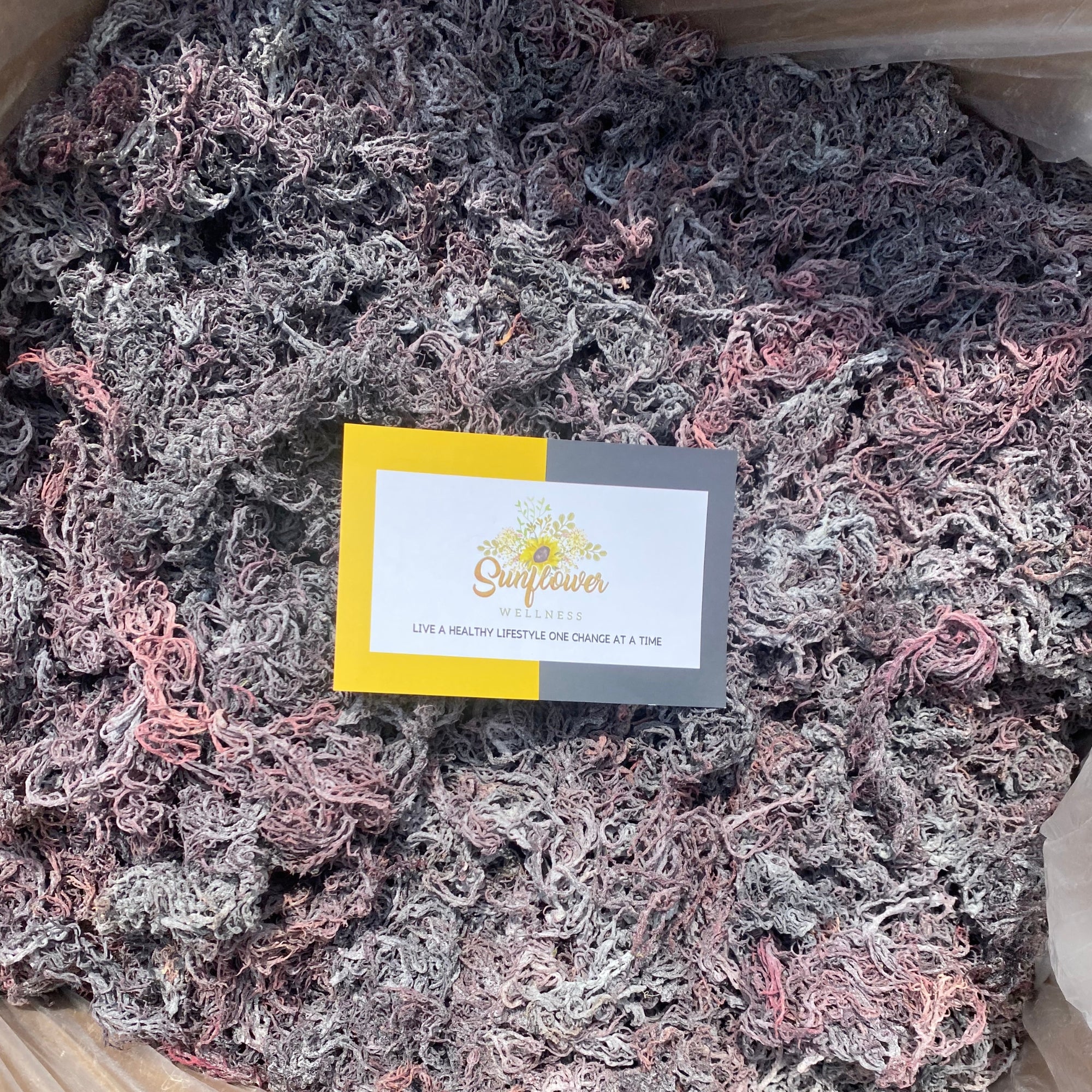 purple wildcrafted raw sea moss from st lucia