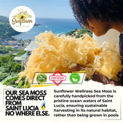 sea moss near me