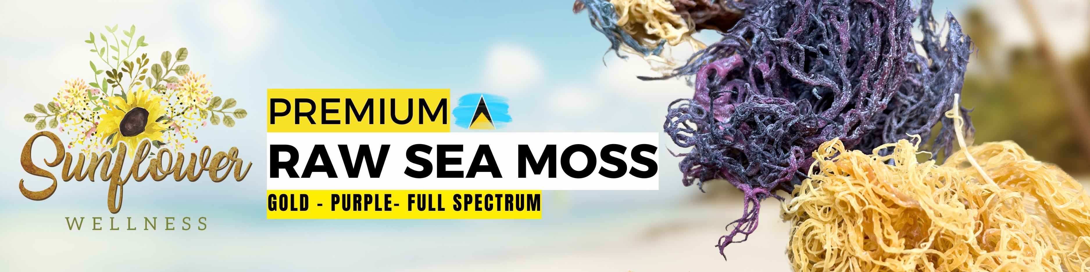 raw sea moss