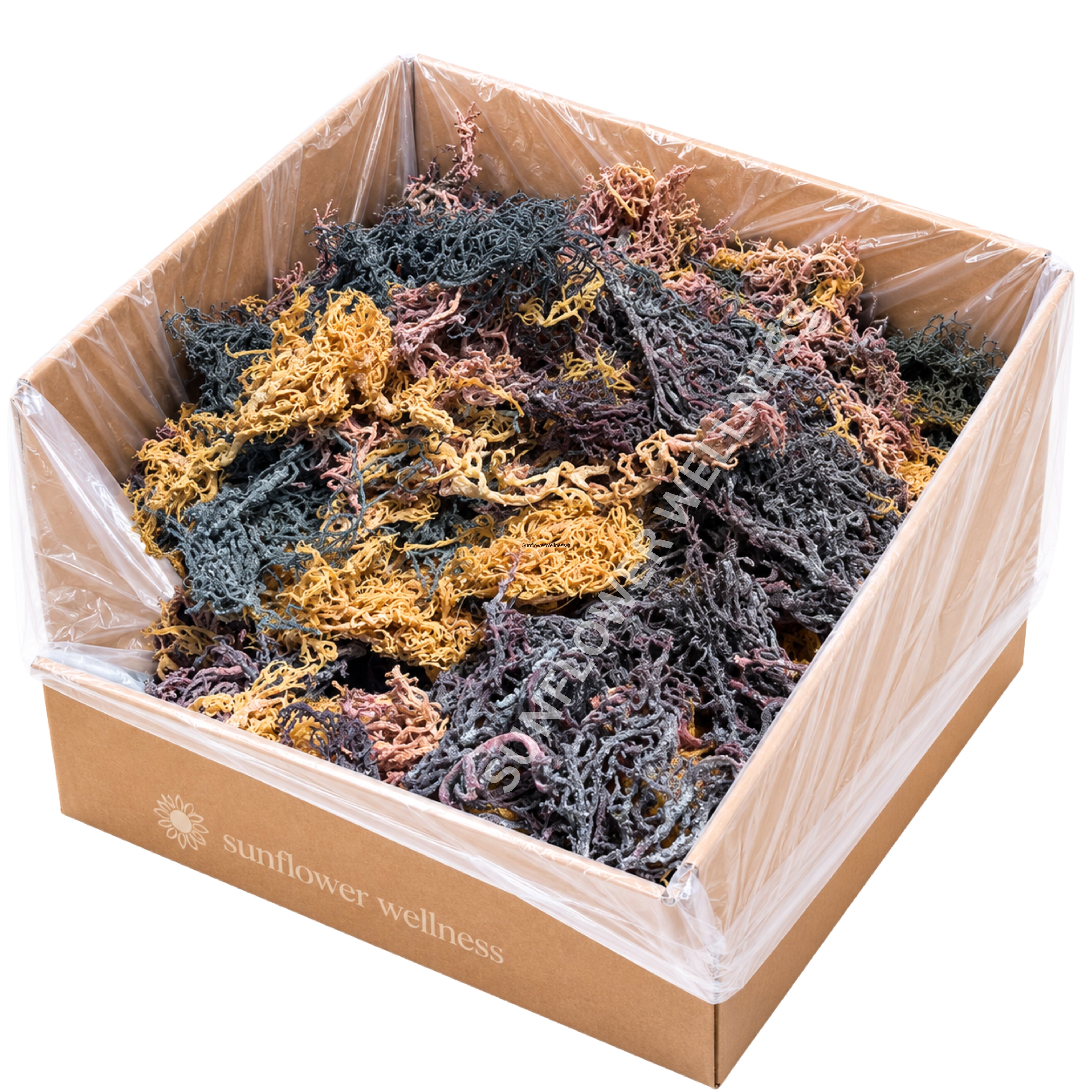 Full Spectrum Sea Moss bulk box filled with raw wildcrafted Gold, Purple and Green Sea Moss harvested in St. Lucia.