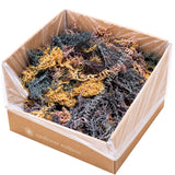 Bulk Raw Sea Moss – Gold, Purple, Green & Full Spectrum (St. Lucia)