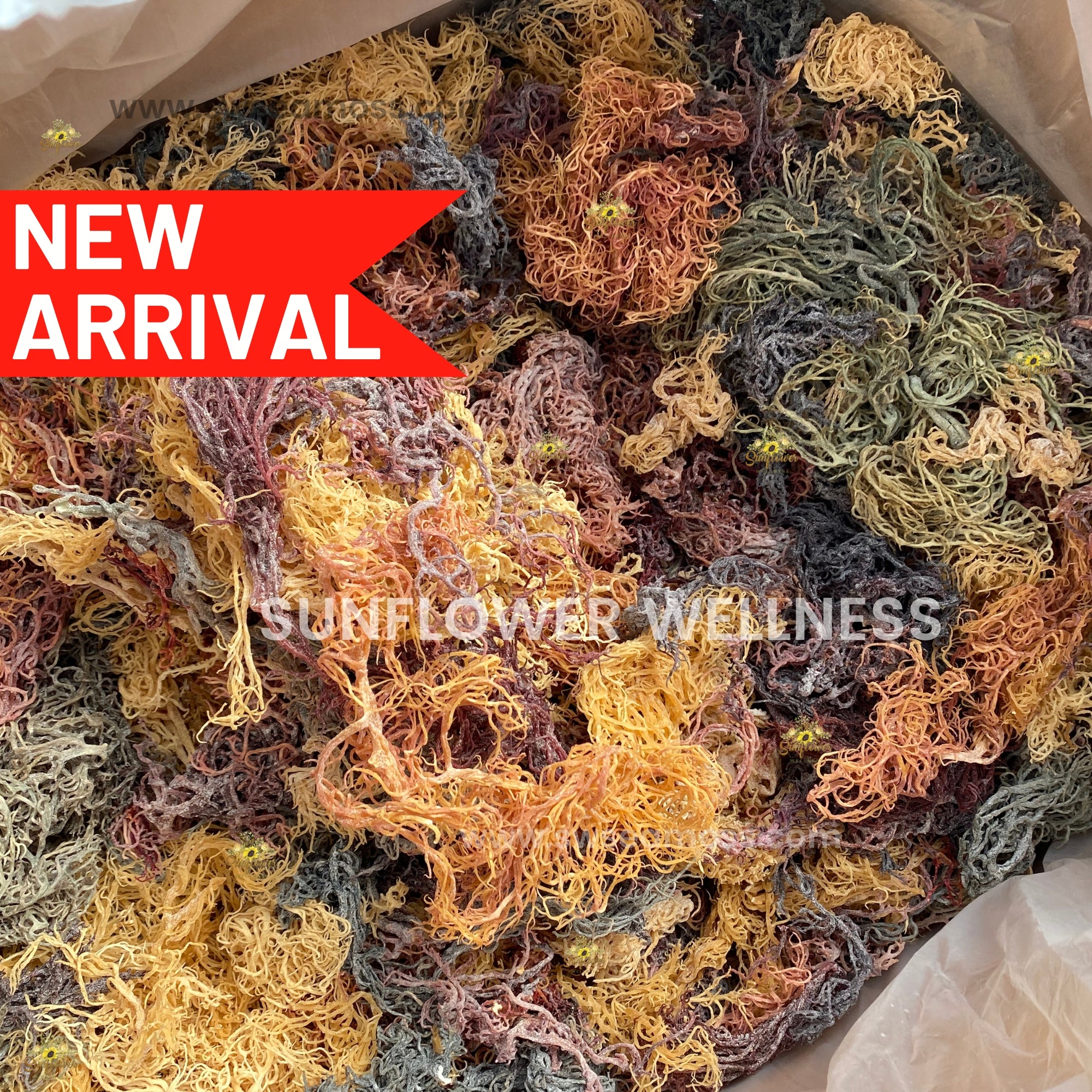 Full Spectrum Sea Moss in vibrant gold, purple, and green shades from St. Lucia.