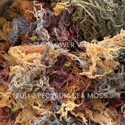 Sun-dried, wildcrafted, and nutrient-rich Full Spectrum Sea Moss.