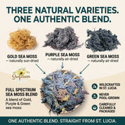 Promotional graphic for Sunflower Herbs showing three natural varieties of sea moss: Gold Sea Moss, Purple Sea Moss, and Green Sea Moss, with a bowl of mixed full-spectrum sea moss blend below. The image includes text describing the products, origin. 