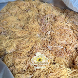 Grade B St. Lucia Gold Sea Moss - Raw