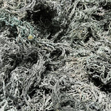 Bulk Raw Sea Moss – Gold, Purple, Green & Full Spectrum (St. Lucia)