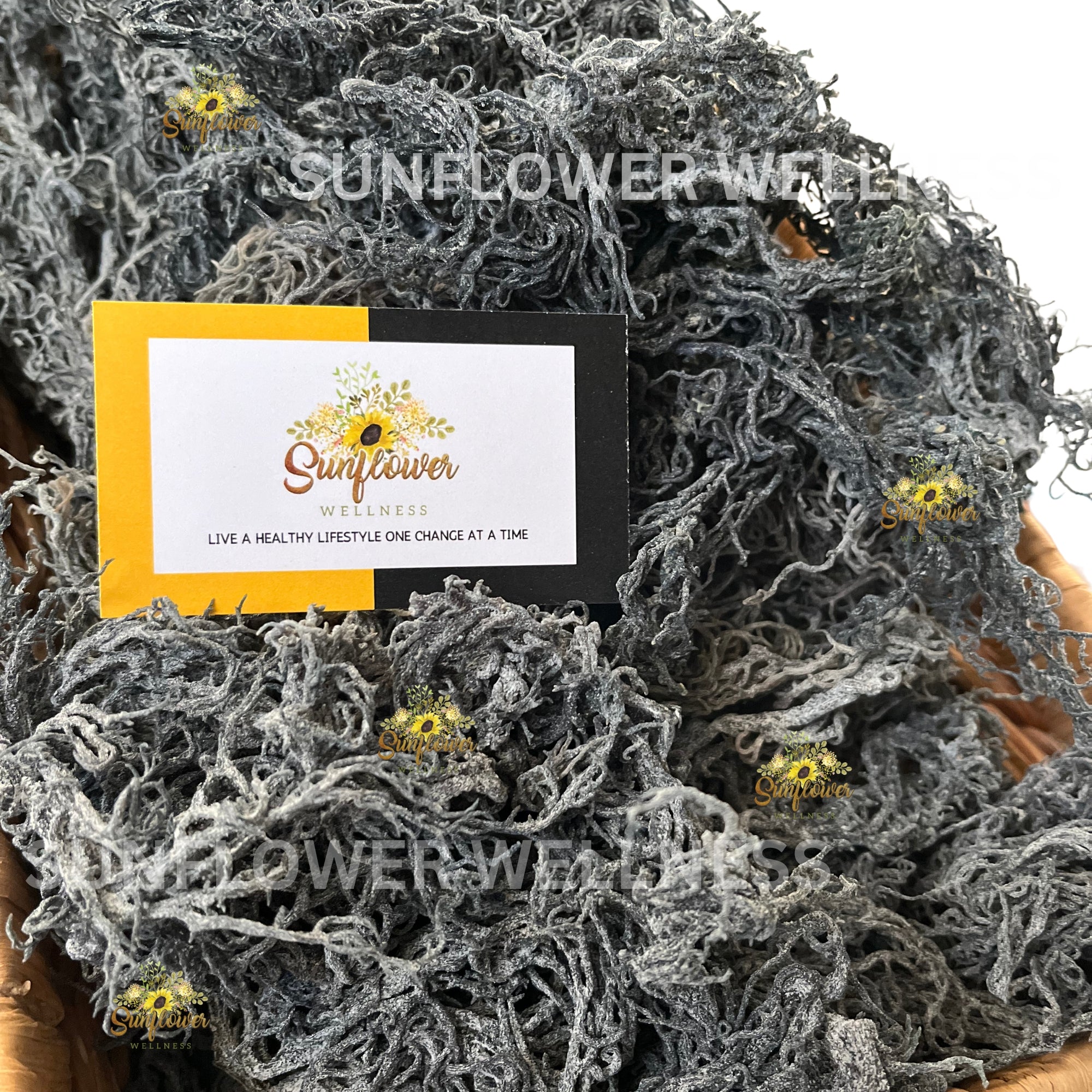 Bulk raw green sea moss in a basket, showcasing its rare color and natural texture