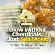 graphic displaying glow without chemicals just sea moss, with soap suds, raw sea moss and soap bars sitting on a white background.