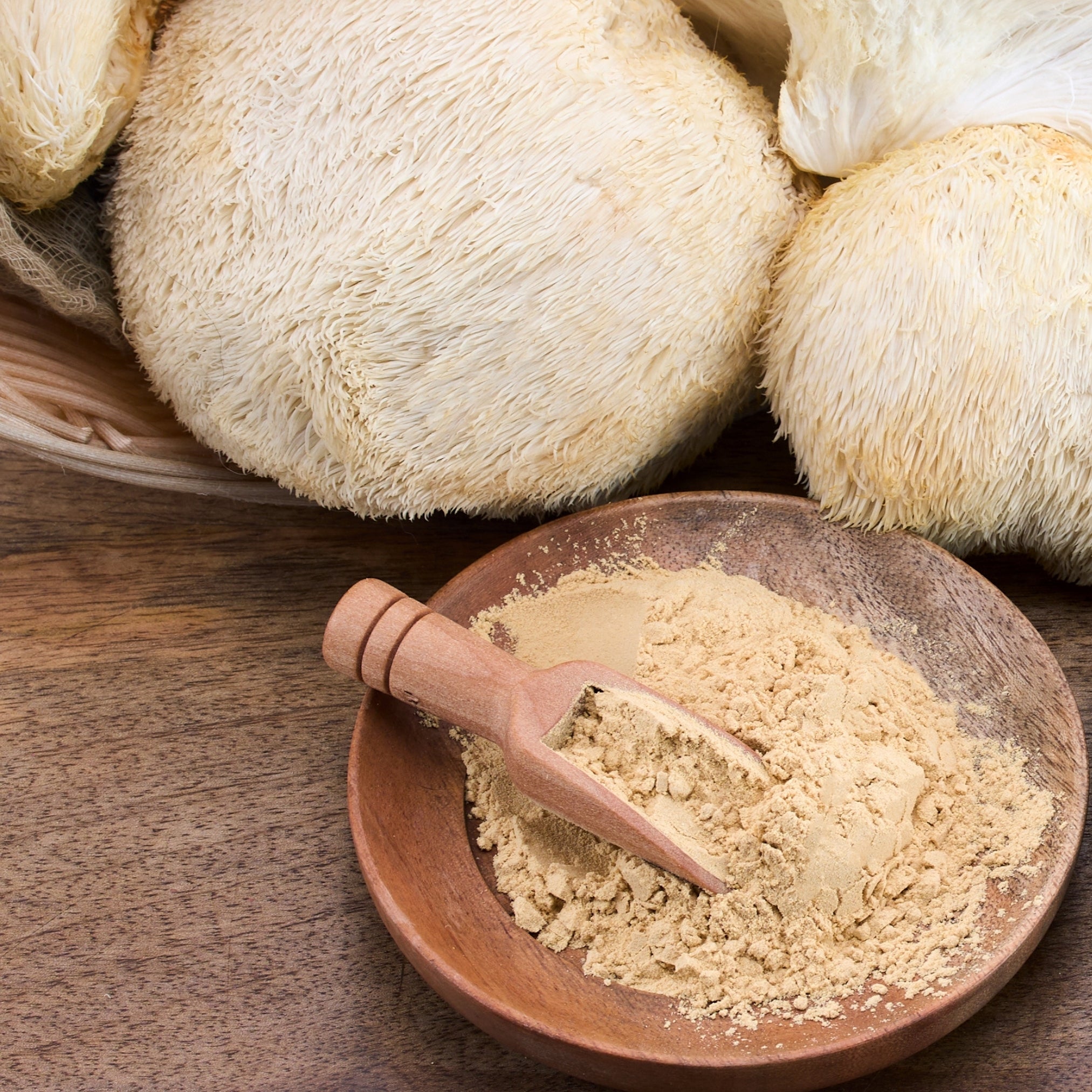 lions mane mushroom and powder in a wooden bowl