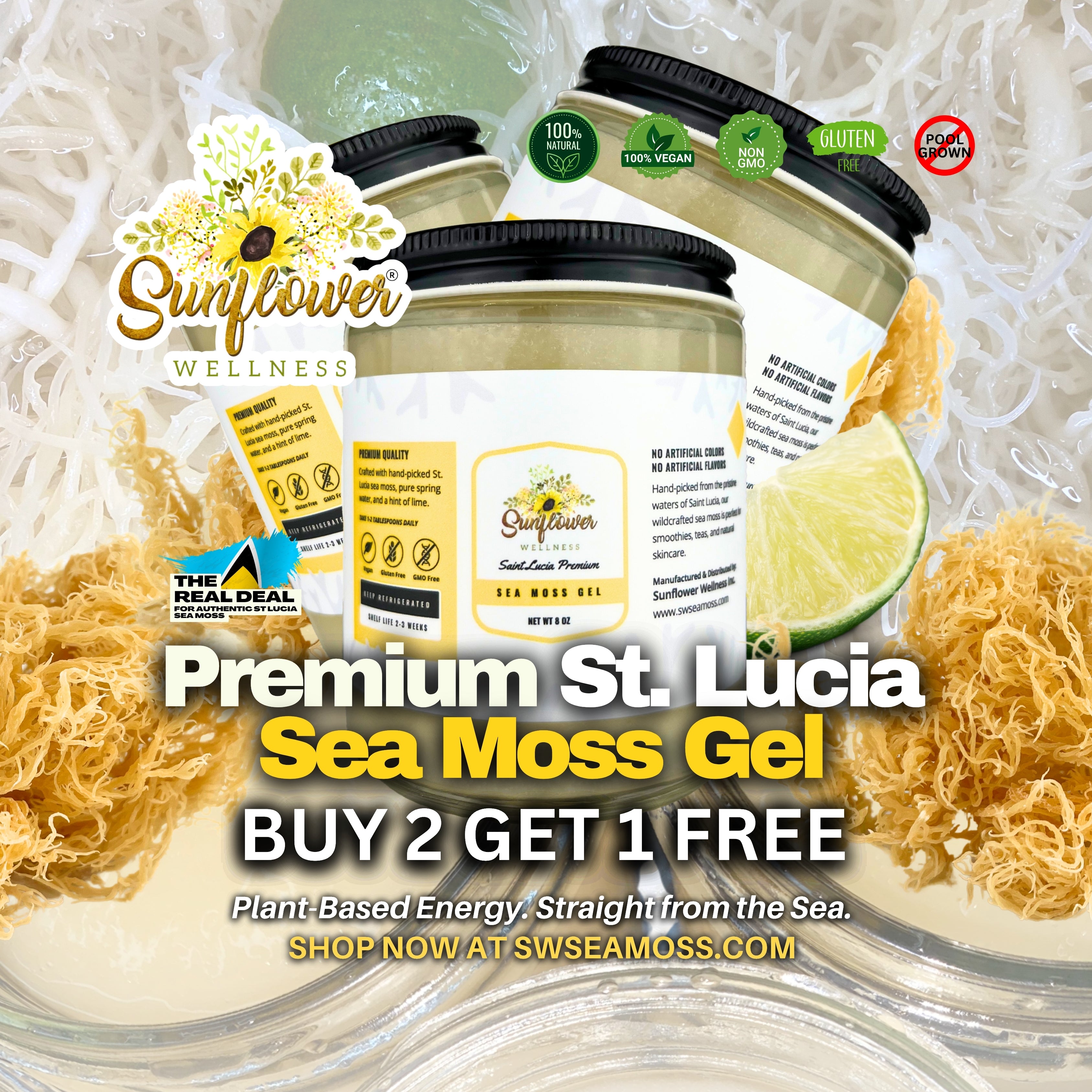 Sunflower Wellness Premium St. Lucia Sea Moss Gel withBuy 2 get 1 free promotion and raw sea moss around the jars.