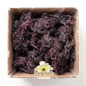 St. Lucia Purple Sea Moss - Raw, Wildcrafted