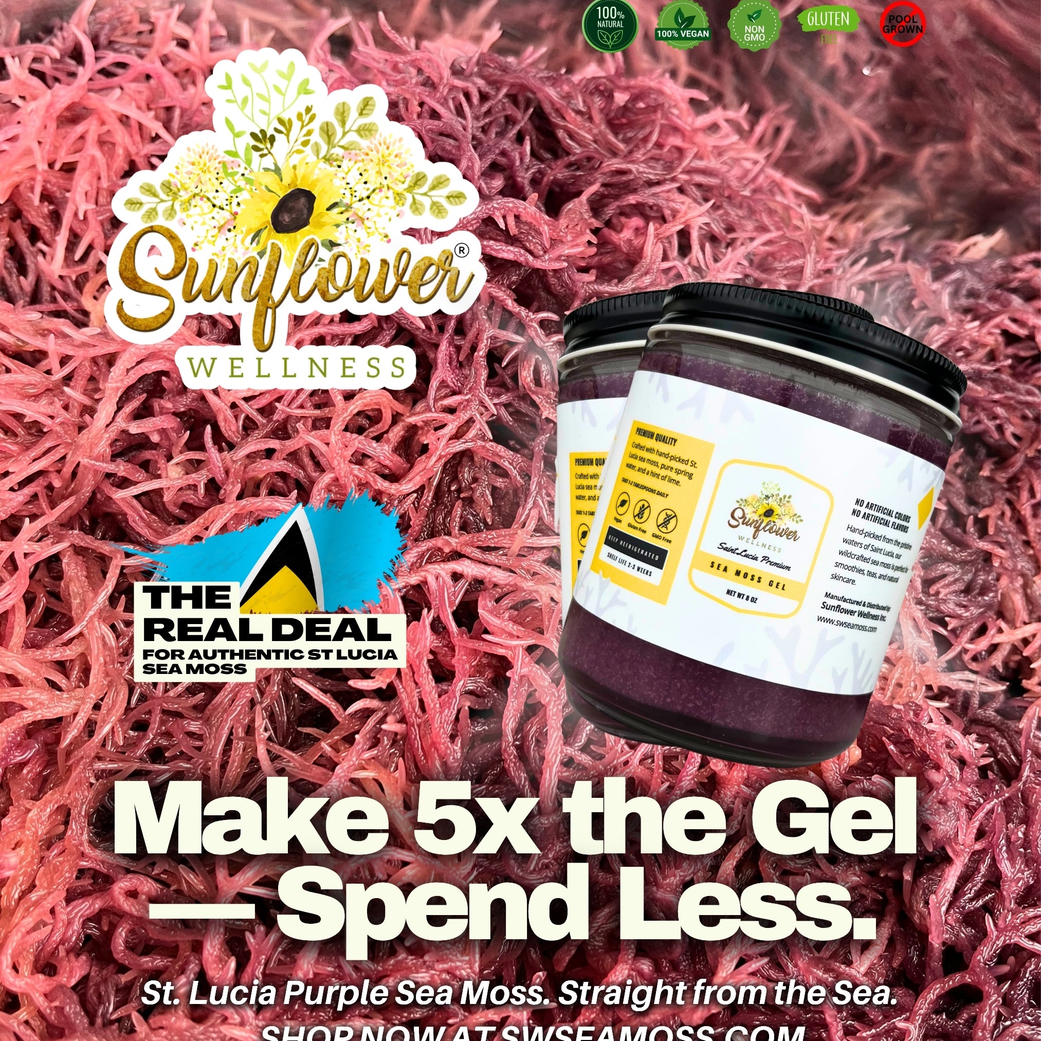 Sunflower Wellness purple sea moss products with hydrated sea moss in the background ready for gel.
