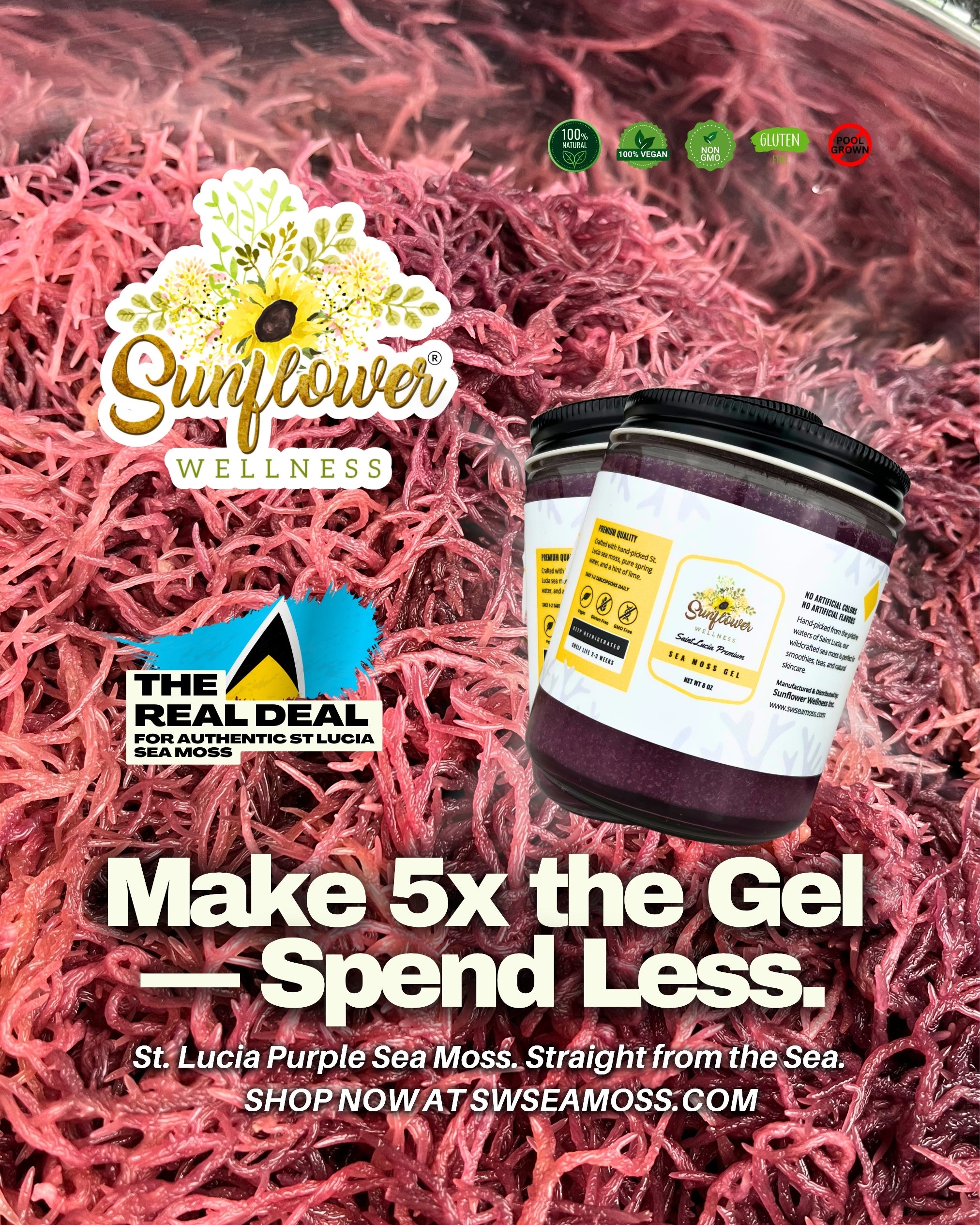 Sunflower Wellness purple sea moss products with hydrated sea moss in the background ready for gel.